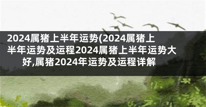 2024属猪上半年运势(2024属猪上半年运势及运程2024属猪上半年运势大好,属猪2024年运势及运程详解