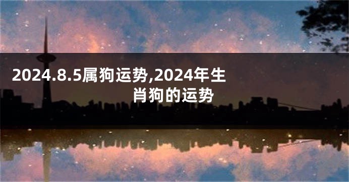 2024.8.5属狗运势,2024年生肖狗的运势