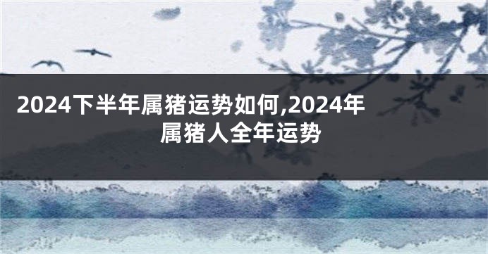 2024下半年属猪运势如何,2024年属猪人全年运势