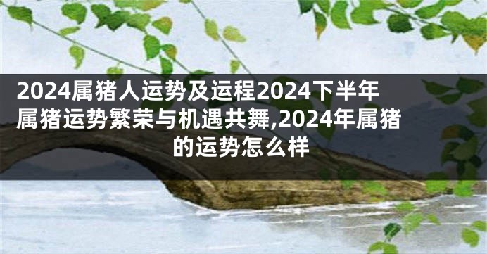 2024属猪人运势及运程2024下半年属猪运势繁荣与机遇共舞,2024年属猪的运势怎么样