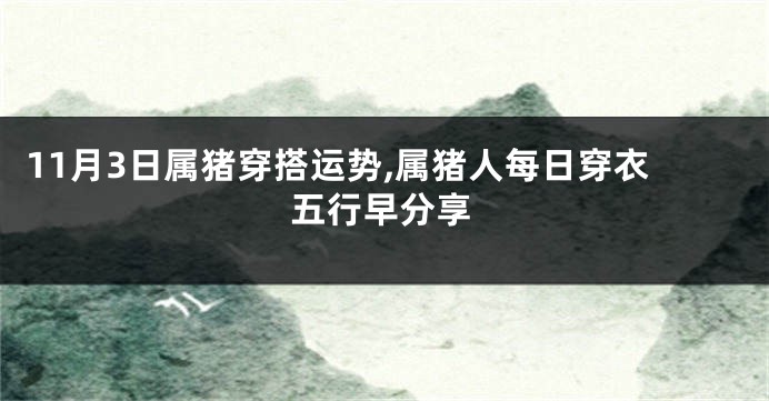 11月3日属猪穿搭运势,属猪人每日穿衣五行早分享