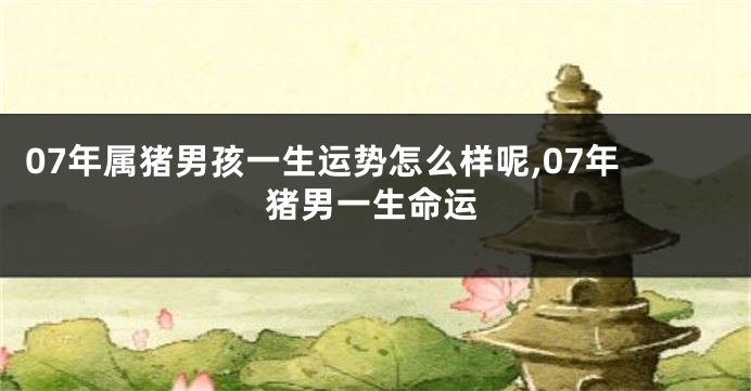 07年属猪男孩一生运势怎么样呢,07年猪男一生命运