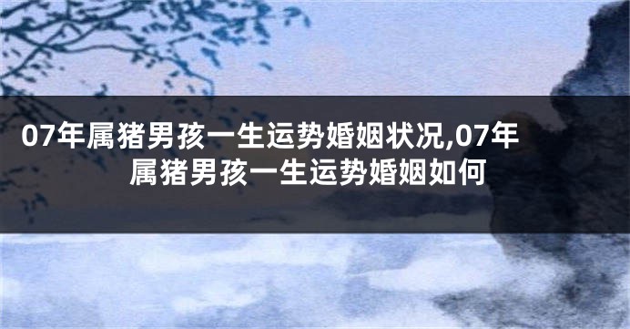 07年属猪男孩一生运势婚姻状况,07年属猪男孩一生运势婚姻如何