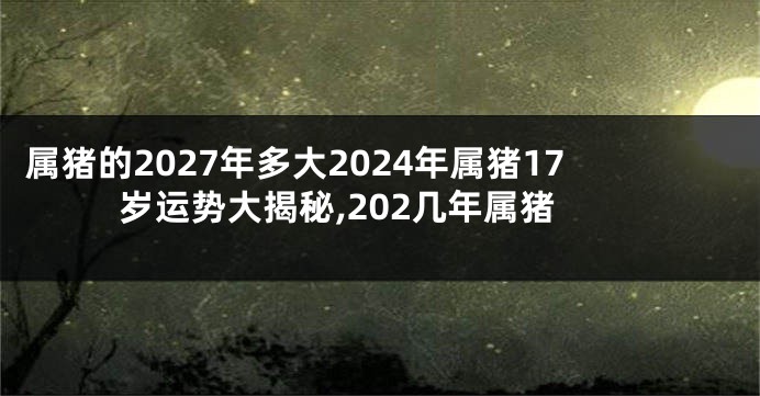 属猪的2027年多大2024年属猪17岁运势大揭秘,202几年属猪