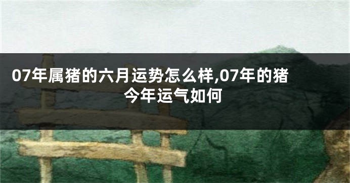 07年属猪的六月运势怎么样,07年的猪今年运气如何