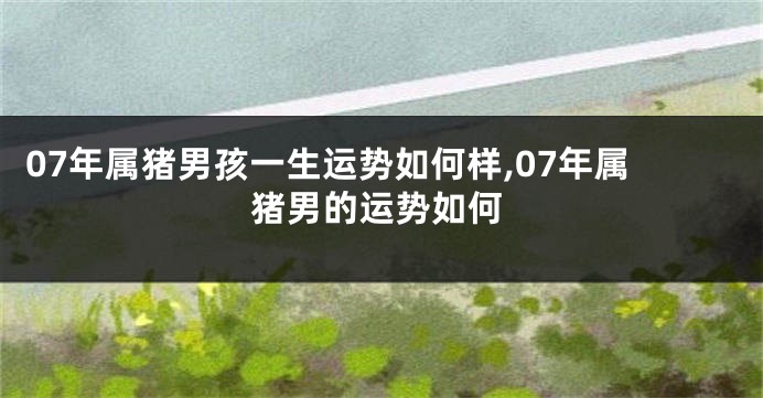 07年属猪男孩一生运势如何样,07年属猪男的运势如何