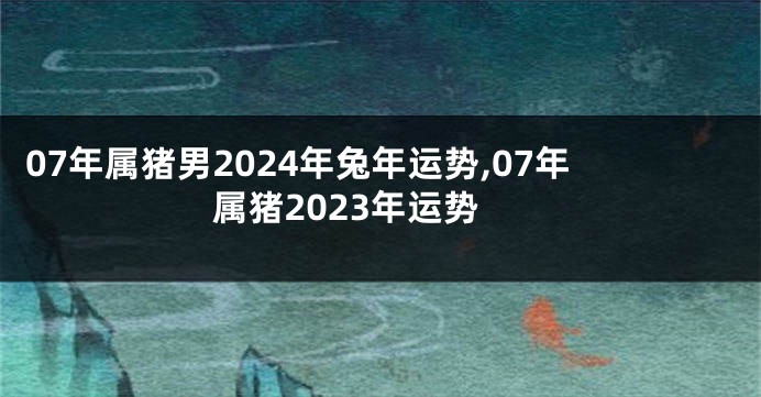 07年属猪男2024年兔年运势,07年属猪2023年运势