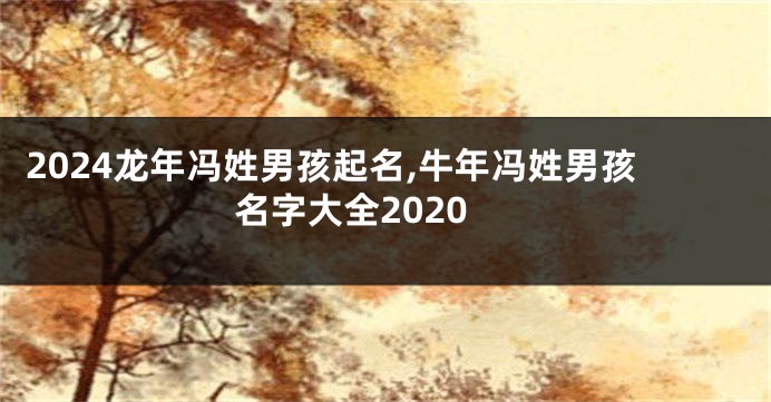2024龙年冯姓男孩起名,牛年冯姓男孩名字大全2020