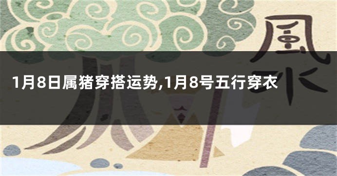 1月8日属猪穿搭运势,1月8号五行穿衣