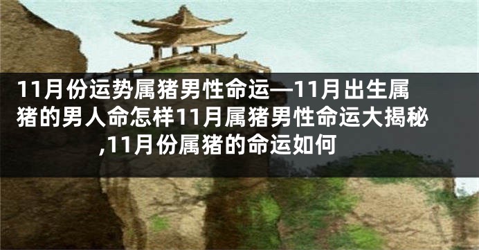 11月份运势属猪男性命运—11月出生属猪的男人命怎样11月属猪男性命运大揭秘,11月份属猪的命运如何