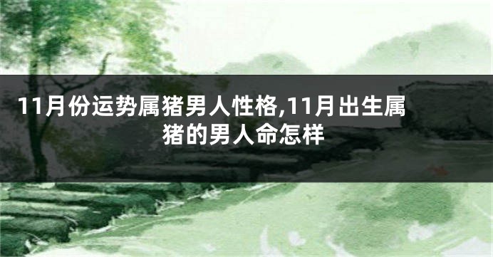 11月份运势属猪男人性格,11月出生属猪的男人命怎样