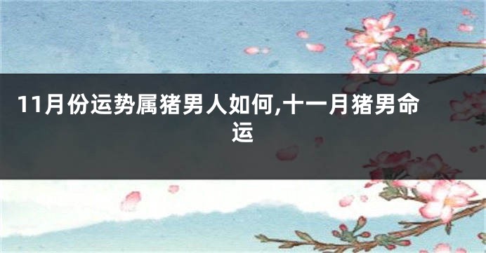11月份运势属猪男人如何,十一月猪男命运