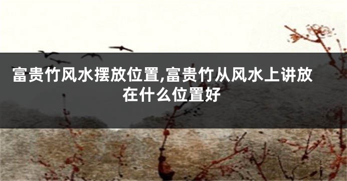 富贵竹风水摆放位置,富贵竹从风水上讲放在什么位置好