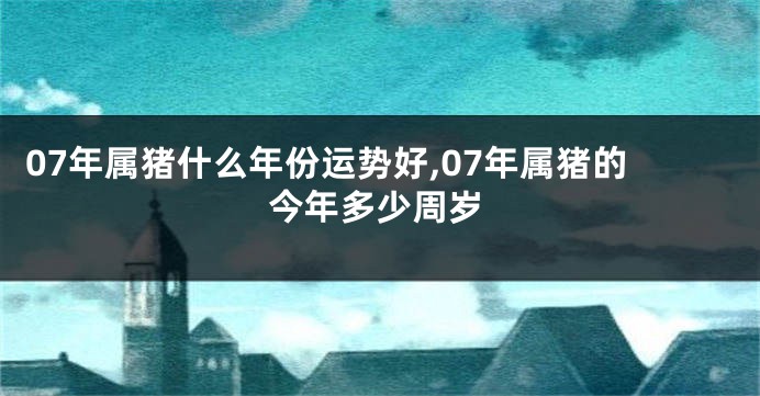 07年属猪什么年份运势好,07年属猪的今年多少周岁