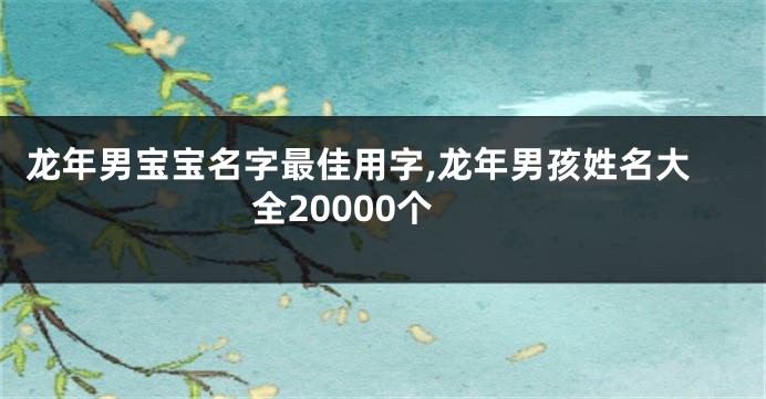 龙年男宝宝名字最佳用字,龙年男孩姓名大全20000个