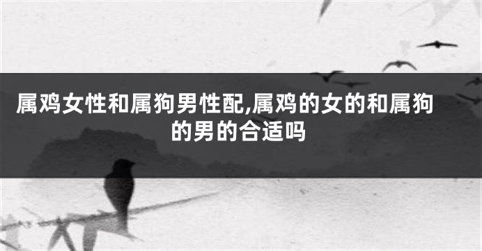 属鸡女性和属狗男性配,属鸡的女的和属狗的男的合适吗