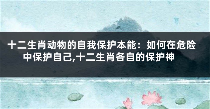 十二生肖动物的自我保护本能：如何在危险中保护自己,十二生肖各自的保护神