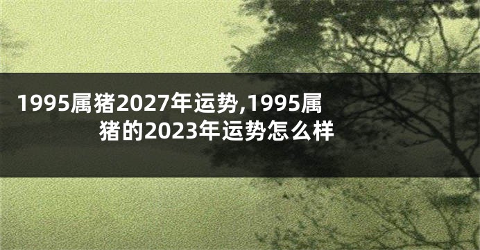 1995属猪2027年运势,1995属猪的2023年运势怎么样