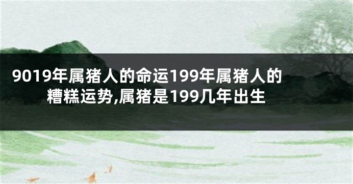 9019年属猪人的命运199年属猪人的糟糕运势,属猪是199几年出生