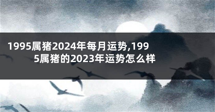 1995属猪2024年每月运势,1995属猪的2023年运势怎么样