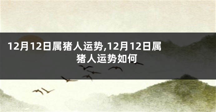 12月12日属猪人运势,12月12日属猪人运势如何