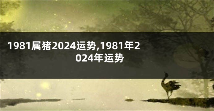 1981属猪2024运势,1981年2024年运势