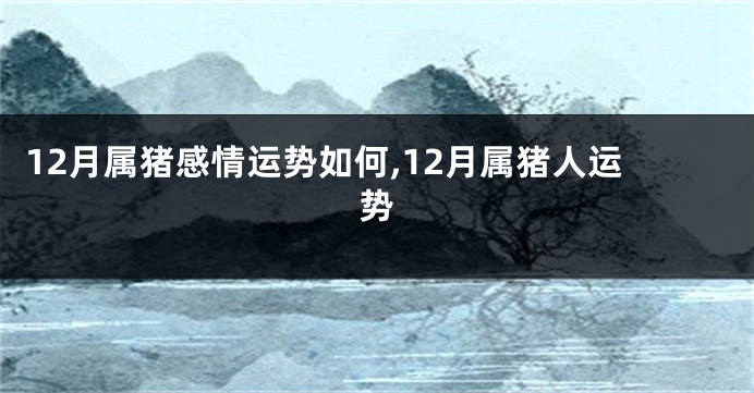 12月属猪感情运势如何,12月属猪人运势
