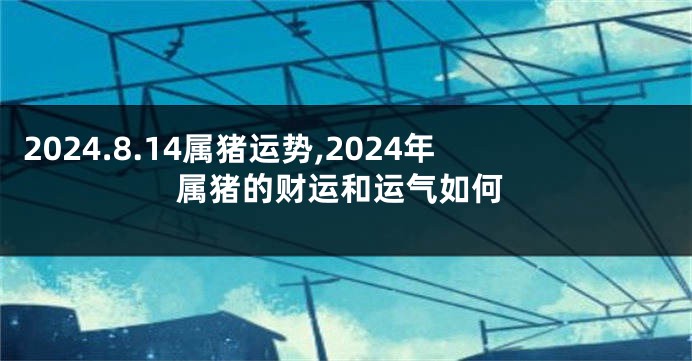 2024.8.14属猪运势,2024年属猪的财运和运气如何