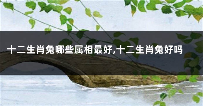 十二生肖兔哪些属相最好,十二生肖兔好吗