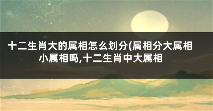 十二生肖大的属相怎么划分(属相分大属相小属相吗,十二生肖中大属相