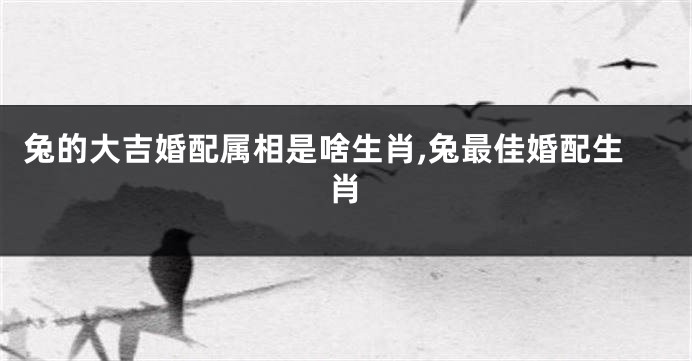 兔的大吉婚配属相是啥生肖,兔最佳婚配生肖