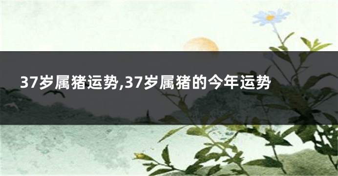 37岁属猪运势,37岁属猪的今年运势
