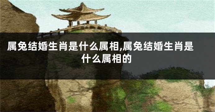 属兔结婚生肖是什么属相,属兔结婚生肖是什么属相的