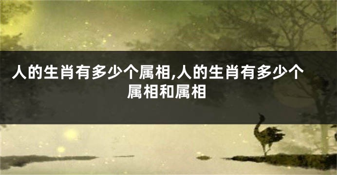人的生肖有多少个属相,人的生肖有多少个属相和属相