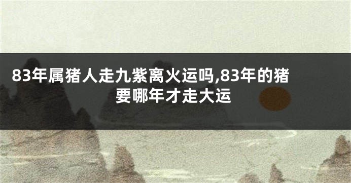 83年属猪人走九紫离火运吗,83年的猪要哪年才走大运