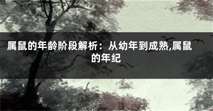 属鼠的年龄阶段解析：从幼年到成熟,属鼠的年纪
