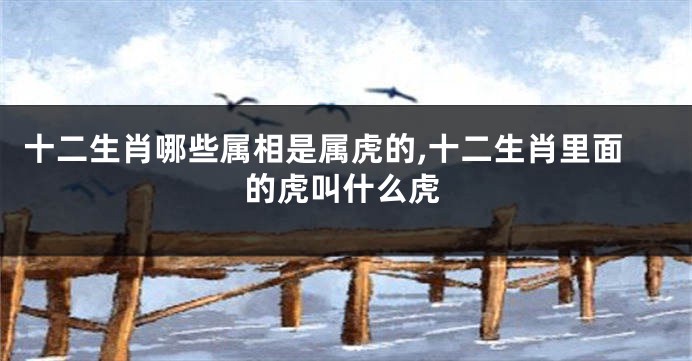 十二生肖哪些属相是属虎的,十二生肖里面的虎叫什么虎