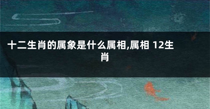 十二生肖的属象是什么属相,属相 12生肖