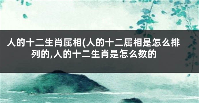 人的十二生肖属相(人的十二属相是怎么排列的,人的十二生肖是怎么数的