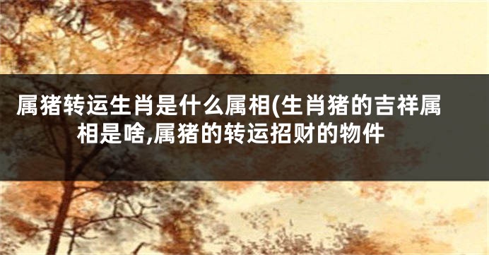 属猪转运生肖是什么属相(生肖猪的吉祥属相是啥,属猪的转运招财的物件