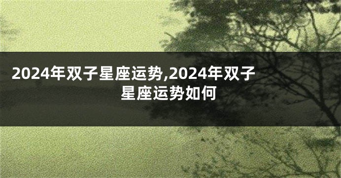 2024年双子星座运势,2024年双子星座运势如何