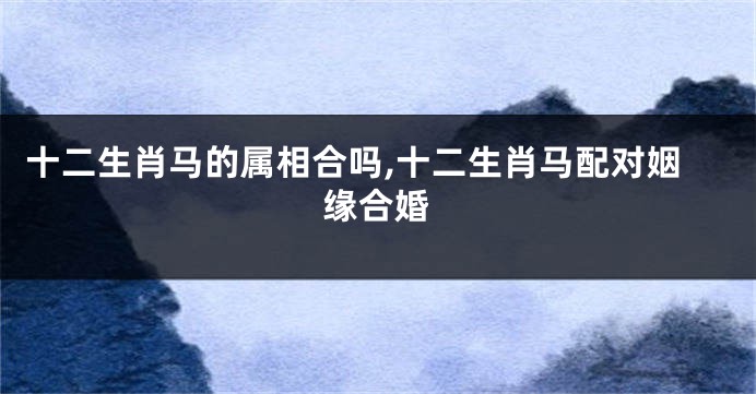 十二生肖马的属相合吗,十二生肖马配对姻缘合婚