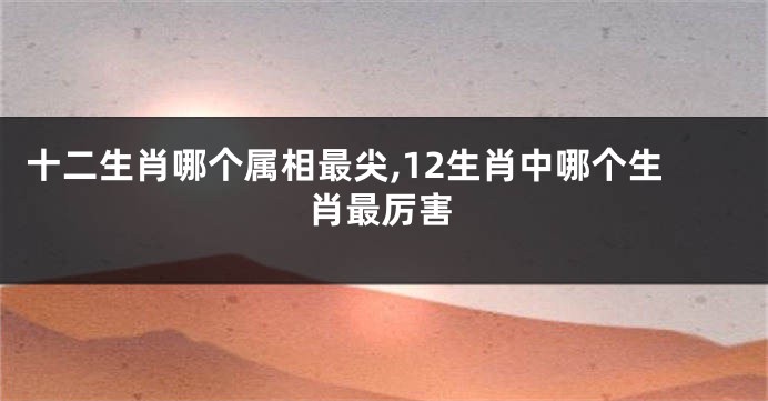 十二生肖哪个属相最尖,12生肖中哪个生肖最厉害