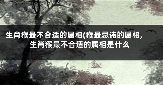 生肖猴最不合适的属相(猴最忌讳的属相,生肖猴最不合适的属相是什么