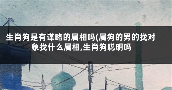 生肖狗是有谋略的属相吗(属狗的男的找对象找什么属相,生肖狗聪明吗
