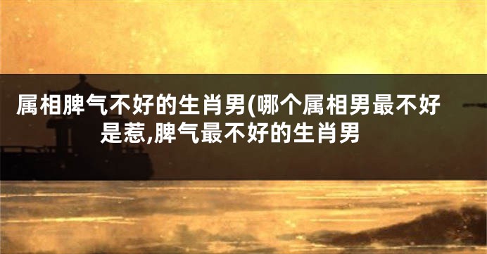 属相脾气不好的生肖男(哪个属相男最不好是惹,脾气最不好的生肖男