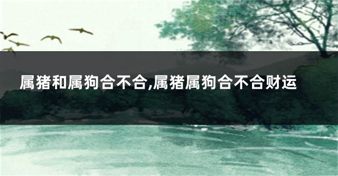 属猪和属狗合不合,属猪属狗合不合财运