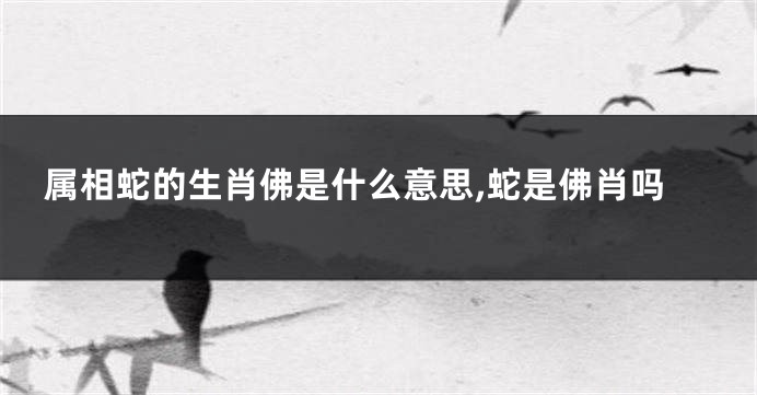 属相蛇的生肖佛是什么意思,蛇是佛肖吗