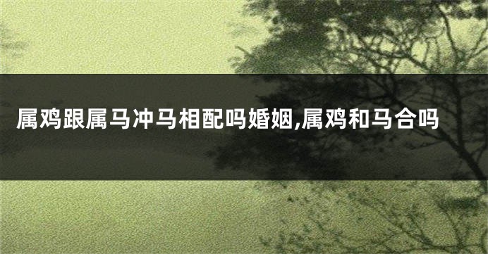属鸡跟属马冲马相配吗婚姻,属鸡和马合吗