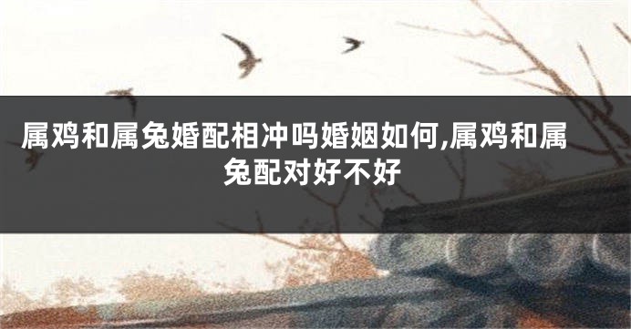 属鸡和属兔婚配相冲吗婚姻如何,属鸡和属兔配对好不好